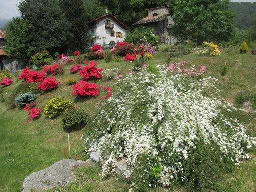 Progetto Vivinvalle, 30 persone scoprono il giardino più suggestivo della Valle Cervo