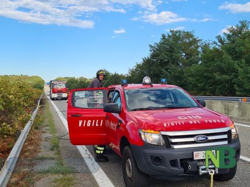 pianta superstrada pianta superstrada