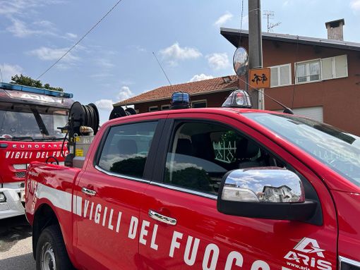 borriana fuoco