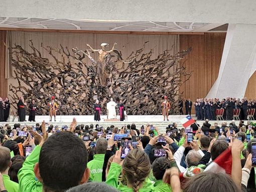 Regione, anche la Protezione Civile del Piemonte all’udienza di fine Giubileo con il papa Regione, anche la Protezione Civile del Piemonte all’udienza di fine Giubileo con il papa