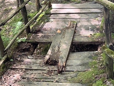 Le foto del lettore Le foto del lettore