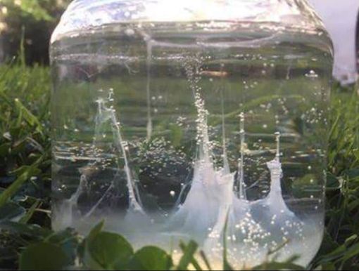 Barca di san Pietro: una tradizione da (ri)scoprire la notte tra il 28 e il 29 giugno