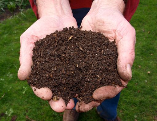 Sala punta alla riduzione della produzione di rifiuti domestici: "Più Compost, Meno Tasse: Sconto del 10% sulla Bolletta"