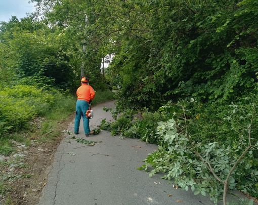 AIB e Vigili del Fuoco al lavoro lungo la Strada dei Gallinit