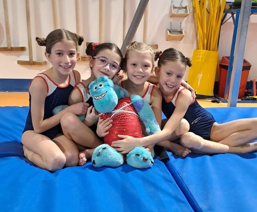 ginnastica biella ginnastica biella