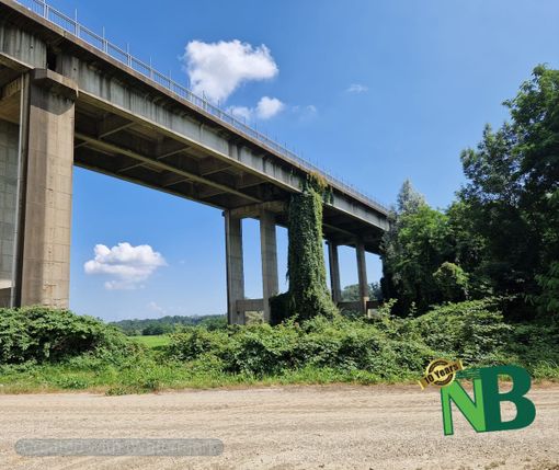 Ponte sul Torrente Cervo: al via i lavori di manutenzione straordinaria