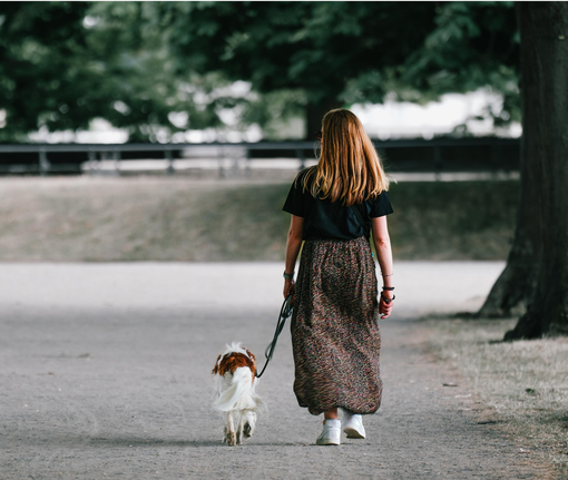 Camminare lungo le strade del territorio: sicurezza ancora troppo fragile