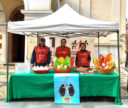 A Pasqua, scegli le Uova AIL, scegli la ricerca A Pasqua, scegli le Uova AIL, scegli la ricerca