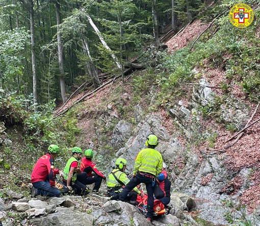 fungiat soccorso fungiat soccorso