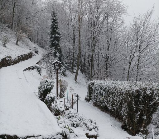 La neve è arrivata anche a Sordevolo, foto Alessandra Ghirardelli