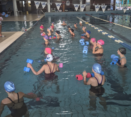 pallavolo occhieppese pallavolo occhieppese