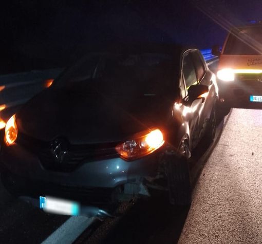 Tre cinghiali attraversano la carreggiata in super, auto contro il guard rail, FOTO