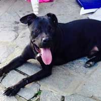 Appello urgente per Raul