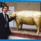 Biella, i 50 montoni d'oro della mostra "Sul filo della lana" messi all'asta per beneficenza. Nella foto di Roberto Marchisotti Massimo Giletti con un montone d'oro al Museo del Territorio Biella, i 50 montoni d'oro della mostra "Sul filo della lana" messi all'asta per beneficenza. Nella foto di Roberto Marchisotti Massimo Giletti con un montone d'oro al Museo del Territorio