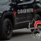 Dal Nord Ovest - Folle inseguimento nel Verbanese, arrestato 62enne su auto rubata (foto di repertorio)