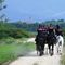 Maxi-servizio straordinario contro lo spaccio nei boschi biellesi, in azione anche i Carabinieri a cavallo FOTO e VIDEO