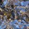 Biella, a Cossila San Grato una mostra scambio di minerali e fossili (foto di repertorio)