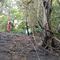 Biella, incendio di sottobosco tra Pavignano, Vaglio e Colma