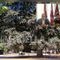 Biella, Lega: "Più controlli ai Giardini Zumaglini con la vigilanza rafforzata" Biella, Lega: "Più controlli ai Giardini Zumaglini con la vigilanza rafforzata"