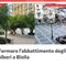 Biella, una raccolta firme per fermare l'abbattimento di alberi