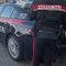 Biella, Polizia e Carabinieri ai Giardini Zumaglini per controlli: un uomo rischia una denuncia (foto di repertorio) Biella, Polizia e Carabinieri ai Giardini Zumaglini per controlli: un uomo rischia una denuncia (foto di repertorio)