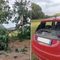 Raffiche di vento a Quaregna Cerreto, il tronco di un albero colpisce un’auto