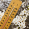 Primavera 2026, nel Biellese temperature sopra la media e piogge più scarse - Foto di repertorio Primavera 2026, nel Biellese temperature sopra la media e piogge più scarse - Foto di repertorio