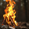 Rischio incendi nel Biellese: stop a fuochi, grigliate e fiamme libere Rischio incendi nel Biellese: stop a fuochi, grigliate e fiamme libere