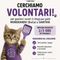 A-Mici Bau cerca volontari, e tu cosa aspetti?