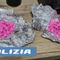Lessona, 196 pastiglie di ecstasy e una serra di marijuana in casa, arrestato