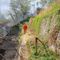 Incendio in Valsessera, il fuoco raggiunge alcune strade: in campo le squadre AIB Incendio in Valsessera, il fuoco raggiunge alcune strade: in campo le squadre AIB