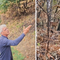 Un cervo cerca la sua strada tra le ceneri del bosco, il volto della Valsessera ferita dall'incendio Un cervo cerca la sua strada tra le ceneri del bosco, il volto della Valsessera ferita dall'incendio