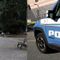 polizia lite