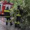 Piante sulla strada a Miagliano, intervento dei Vigili del Fuoco in piena notte (foto di repertorio)