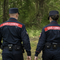 Incendi boschivi e tutela delle foreste, il Piemonte rinnova la convenzione con i Carabinieri Forestali - Immagine generata tramite ia Incendi boschivi e tutela delle foreste, il Piemonte rinnova la convenzione con i Carabinieri Forestali - Immagine generata tramite ia