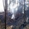Incendi boschivi, il Piemonte aggiorna le linee guida per la prevenzione Incendi boschivi, il Piemonte aggiorna le linee guida per la prevenzione