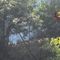 Incendio in alta Valsesia: continua il dispositivo di soccorso coordinato dai Vigili del Fuoco Incendio in alta Valsesia: continua il dispositivo di soccorso coordinato dai Vigili del Fuoco