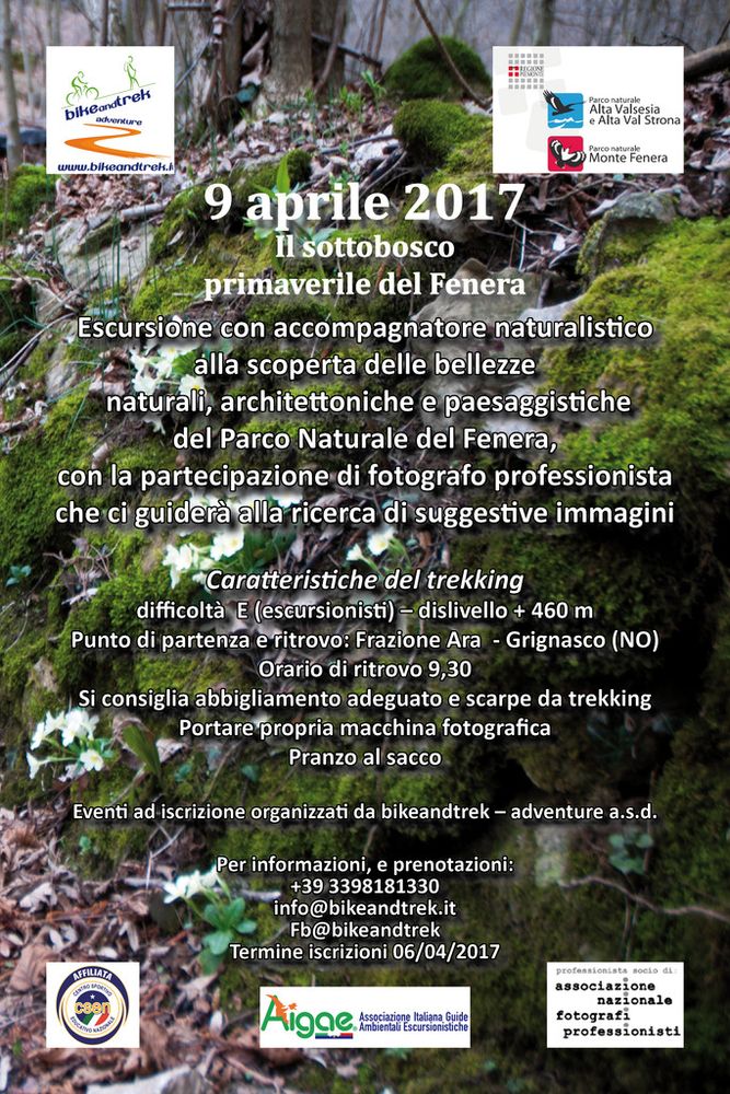 Trekking: 9 aprile, “Il sottobosco primaverile del Fenera” Trekking: 9 aprile, “Il sottobosco primaverile del Fenera”