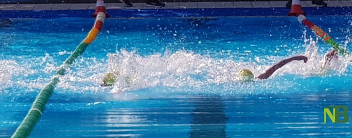 triathlon orso triathlon orso