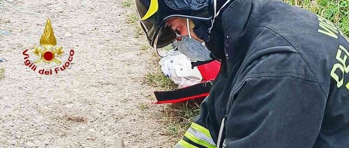 Dal Nord Ovest – A fuoco auto dopo l'incidente