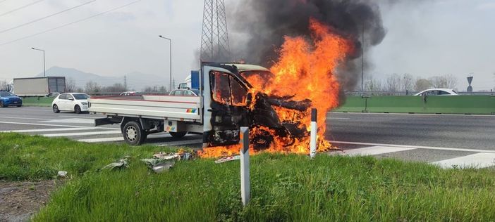 camion torino camion torino