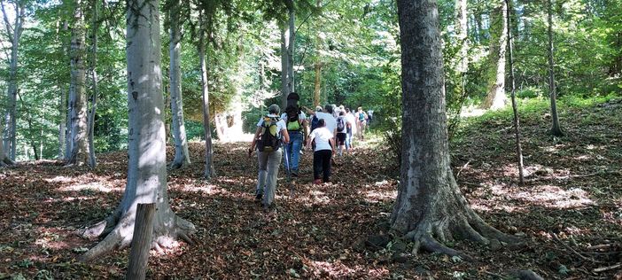 Camandona, al via la quarta edizione della "Camminata camandonina"