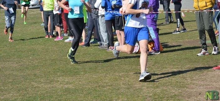 Corsa campestre, scuole secondarie di I° e II° grado di Biella, i risultati