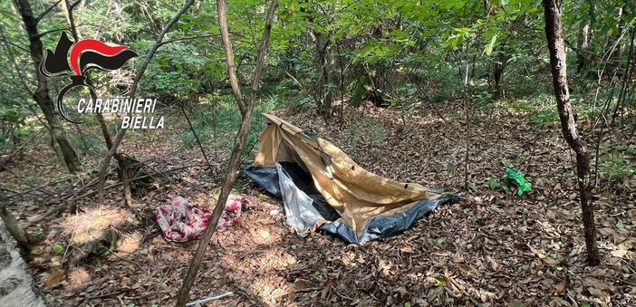 spaccio boschi spaccio boschi