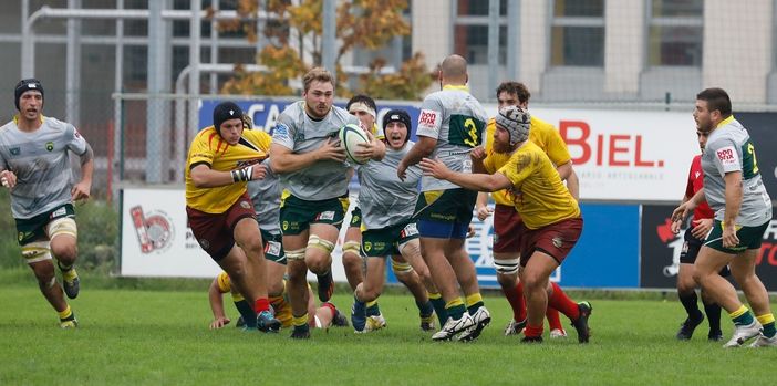 biella rugby