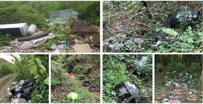 Raccolta rifiuti in città, sabato 30 giugno l'iniziativa aperta a tutti i cossatesi Raccolta rifiuti in città, sabato 30 giugno l'iniziativa aperta a tutti i cossatesi