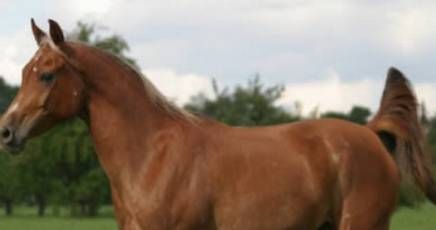 (Foto di repertorio)