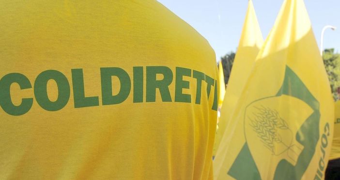 coldiretti biella vercelli