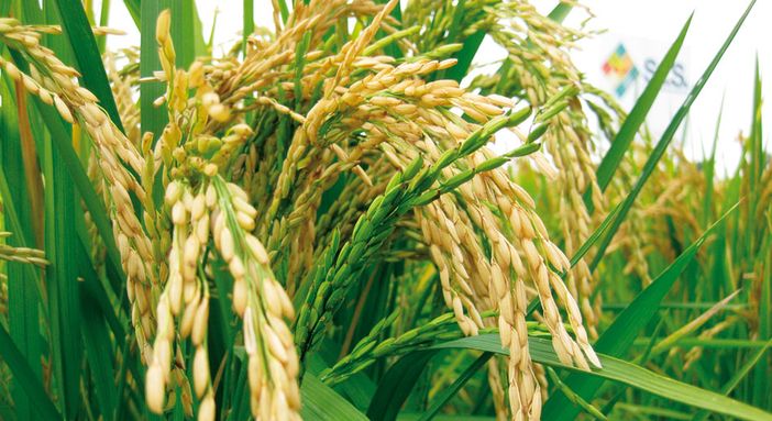 L'agricoltura residuale in una conferenza a Mezzana