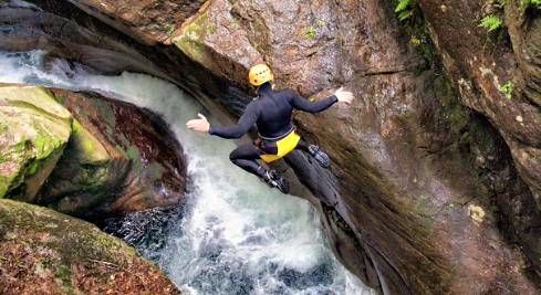 alice elvo alice elvo